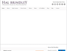 Tablet Screenshot of halbrindley.com